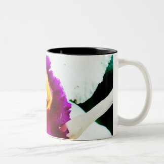 Taza Bicolor Orquídea 37