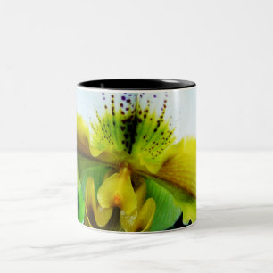 Taza Bicolor Orquídea 5