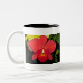 Taza Bicolor Orquídea Roja Exótica