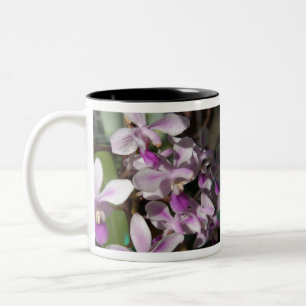 Taza Bicolor orquídeas en miniatura