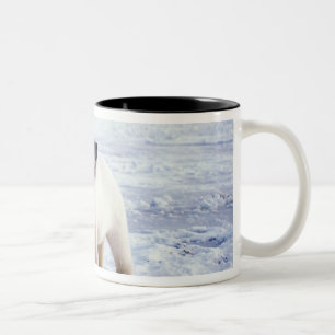 Taza Bicolor Osa de oso polar con cría, manada