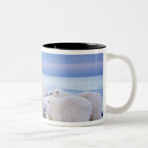 Taza Bicolor Osa de oso polar con crías