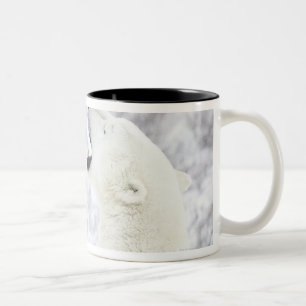 Taza Bicolor Osos polares que juegan en la nieve