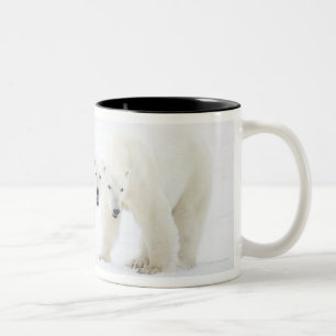 Taza Bicolor Osos polares que se colocan en nieve después de