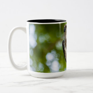 Taza Bicolor Osprey en Colorado