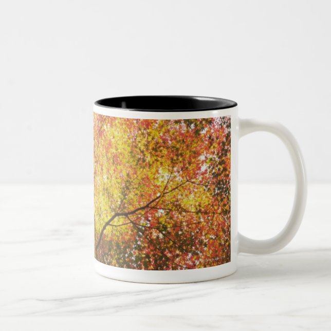 Taza Bicolor Otoño (Derecha)
