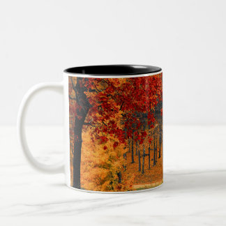 Taza Bicolor otoño en el bosque