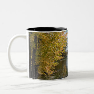 Taza Bicolor Otoño en el lago de los perros negros