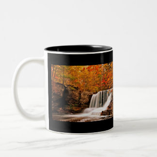 Taza Bicolor Otoño en las caídas de la fábrica