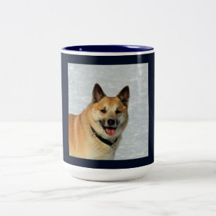 Taza Bicolor Oveja islandesa20150904