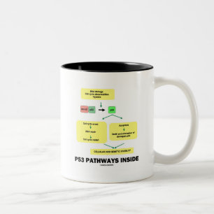Taza Bicolor P53 Trayectorias internas (biología molecular celu