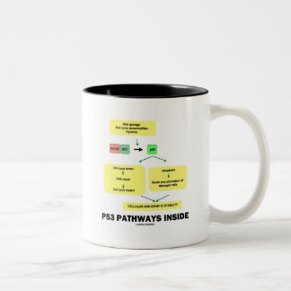Taza Bicolor P53 Trayectorias internas (biología molecular celu