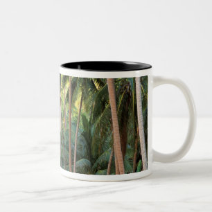 Taza Bicolor Pacífico Sur, Polinesia Francesa, Bora Bora.