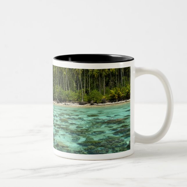 Taza Bicolor Pacífico Sur, Polinesia Francesa, Marruecos 3 (Derecha)