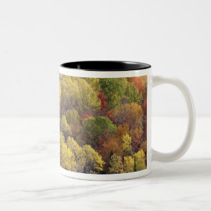Taza Bicolor paisaje de otoño, Vermont, EE. UU. 2