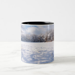 Taza Bicolor Paisaje invernal del estanque y bosque de Salem Hi