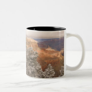 Taza Bicolor Paisaje invernal nevado escénico a lo largo del su
