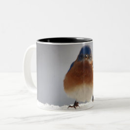Taza Bicolor Pájaro azul audaz