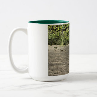 Taza Bicolor Pájaro De Arena Con Café De Dos Tones