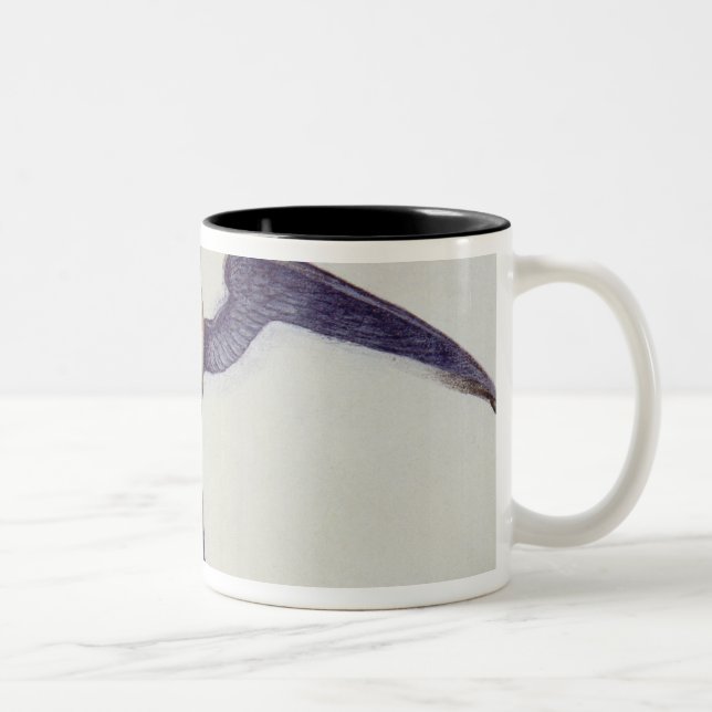 Taza Bicolor Pájaro de fragata (Derecha)