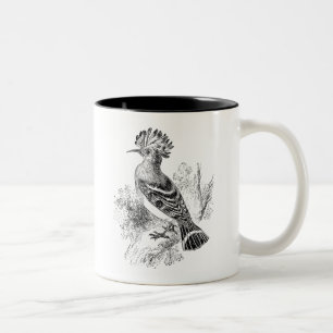 Taza Bicolor Pájaros personalizados pájaro del Hoopoe de