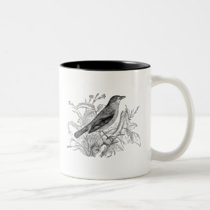 Taza Bicolor Pájaros retros personalizados pájaro del usignuo