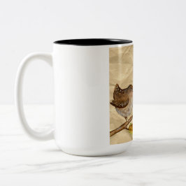Taza Bicolor Pájaros tazón de café