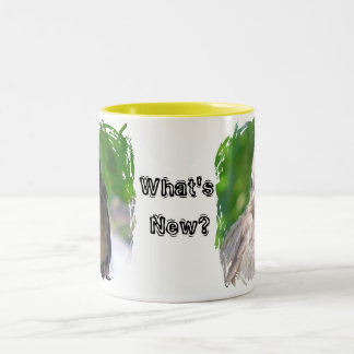 Taza Bicolor Pájaros un gorjeo