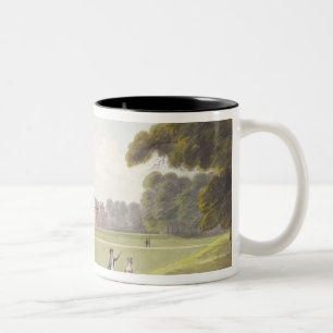 Taza Bicolor Palacio de Kensington