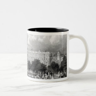 Taza Bicolor Palacio del Hampton Court