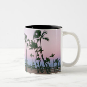 Taza Bicolor Palmera 2