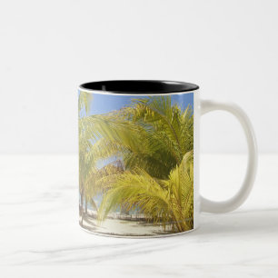 Taza Bicolor Palmeras en una playa blanca de la arena de