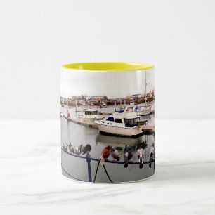 TAZA BICOLOR PALOMAS EN EL PUERTO DEPORTIVO DE GUERNESEY