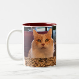Taza Bicolor ¡Pan de jengibre que ordena Latte del gato del
