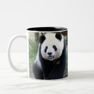 Taza Bicolor Panda_20190301_by_JAMFoto