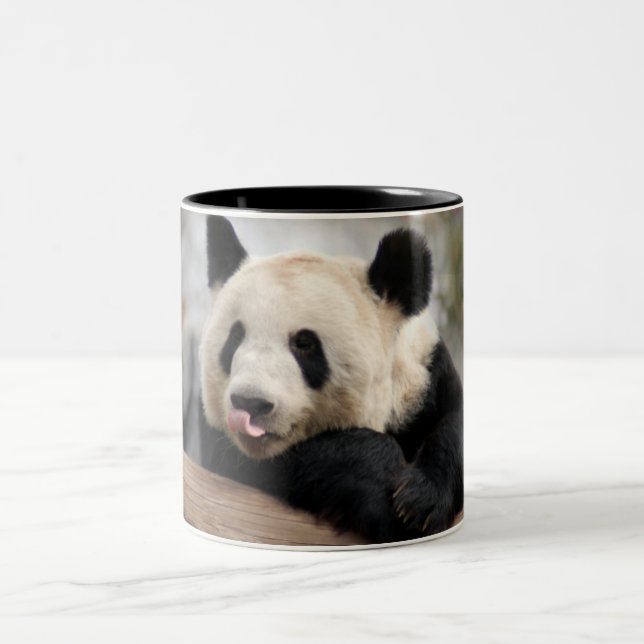 Taza Bicolor PandaM021 (Centro)