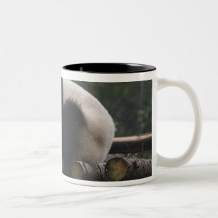 Taza Bicolor Pandas gigantes en la protección de pandas gigante