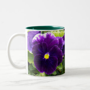 Taza Bicolor Pansia Púrpura Profunda,