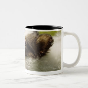 Taza Bicolor Papillon 2