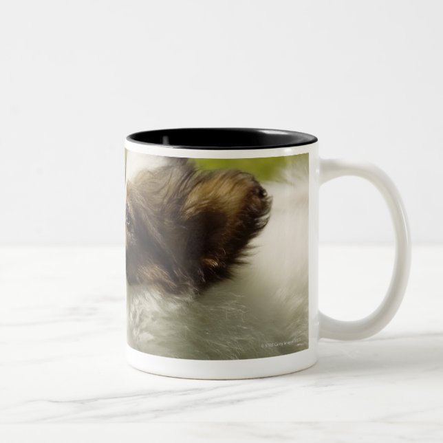 Taza Bicolor Papillon 2 (Derecha)