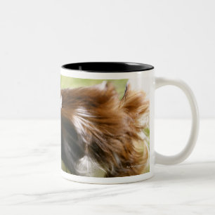 Taza Bicolor Papillon de funcionamiento