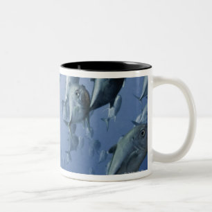 Taza Bicolor Papúa Nueva Guinea
