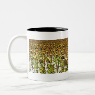 Taza Bicolor Parche de girasol