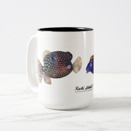 Taza Bicolor Pareja de peces boxos localizados, Ostracion melea