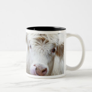 Taza Bicolor Pares de vacas blancas jovenes en el remolque de