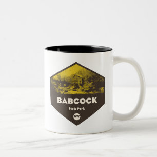 Taza Bicolor Parque estatal Babcock Virginia Occidental