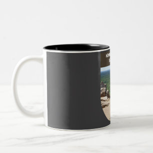 Taza Bicolor Parque Estatal Kings Mountain
