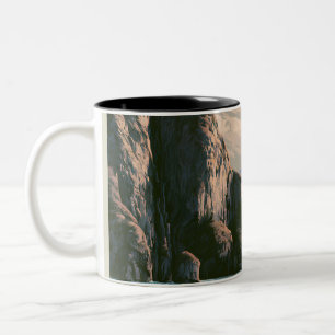Taza Bicolor Parque Nacional Kenai Fjords en Alaska Arte Escéni