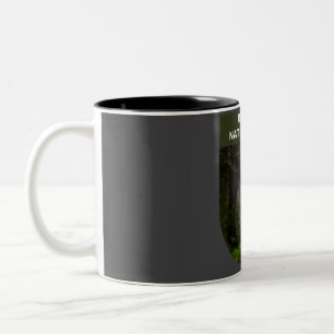 Taza Bicolor Parque nacional Redwood - California