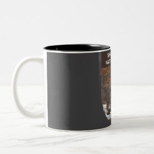 Taza Bicolor Parque nacional Shenandoah - Cataratas Whiteoak -